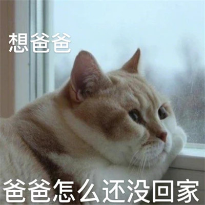 爆款2024表情包头像图片(图41)