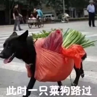 2024表情包头像图片精选(图30)