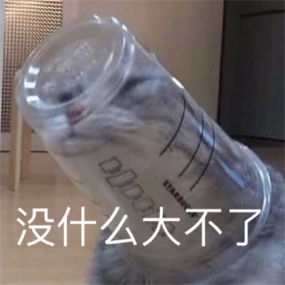 2024年最受欢迎的表情包头像图片(图27)