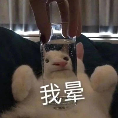 爆款2024表情包头像图片(图26)
