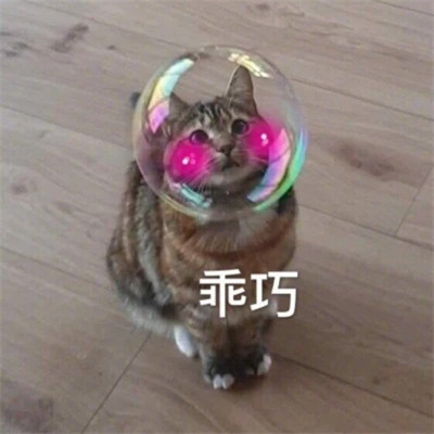 2024年最新版表情包头像(图40)
