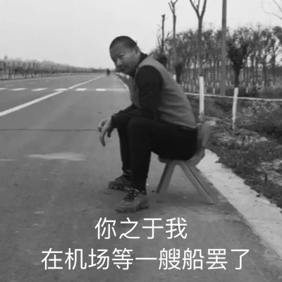 2024热门表情包头像图片(图9)