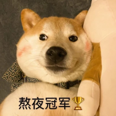 2024年最受欢迎的表情包头像图片(图28)