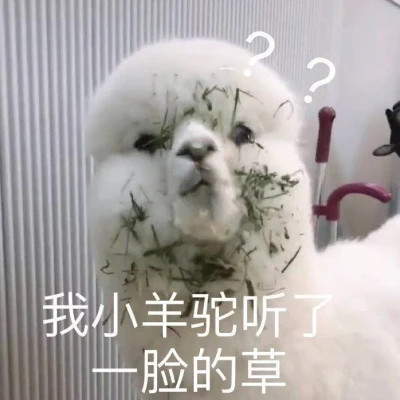 2024年最火爆的表情包头像(图28)