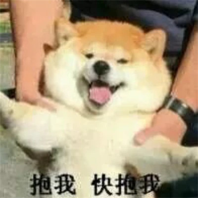 2024热门表情包头像图片(图36)
