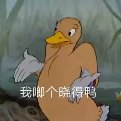 2024年最受欢迎的表情包头像图片(图55)