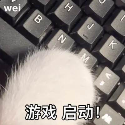2024年最火爆的表情包头像(图37)