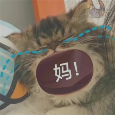 爆款2024表情包头像图片(图38)
