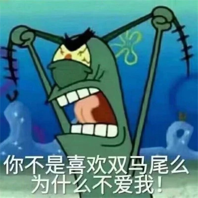 2024热门表情包头像图片(图7)