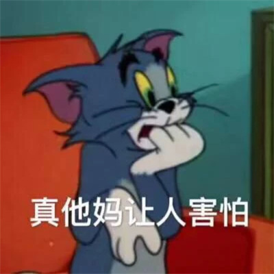2024热门表情包头像图片(图33)