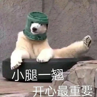 2024表情包头像图片精选(图13)