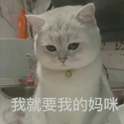 爆款2024表情包头像图片(图36)