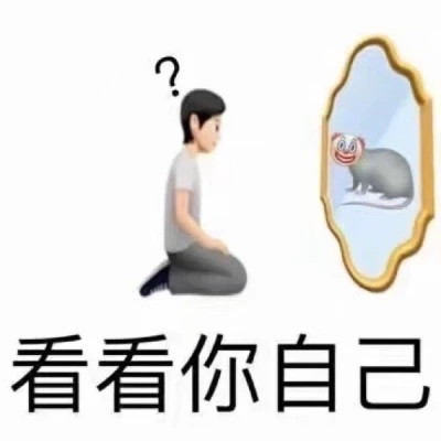 爆款2024表情包头像图片(图28)