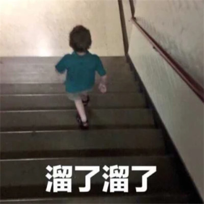 2024表情包头像图片精选(图28)