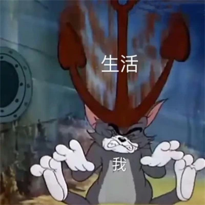 2024年最火爆的表情包头像(图40)