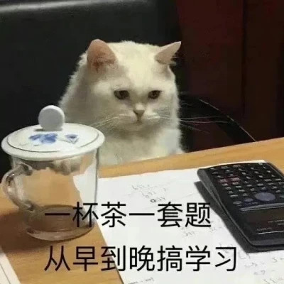 爆款2024表情包头像图片(图19)