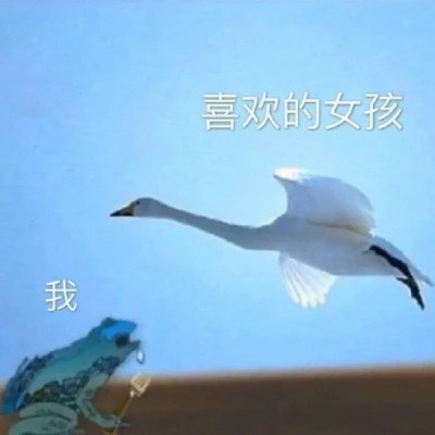 2024年最火爆的表情包头像(图39)