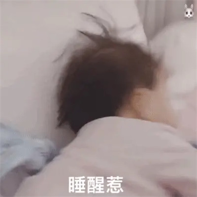2024新款微信表情包搞笑头像(图63)
