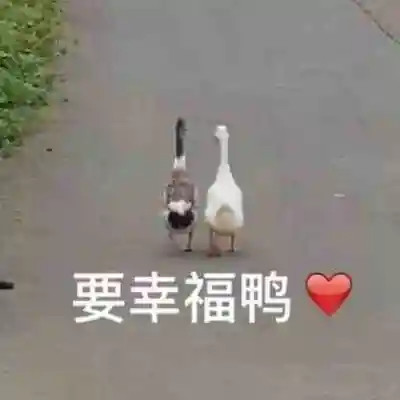 2024年最热门的可爱表情包头像(图78)