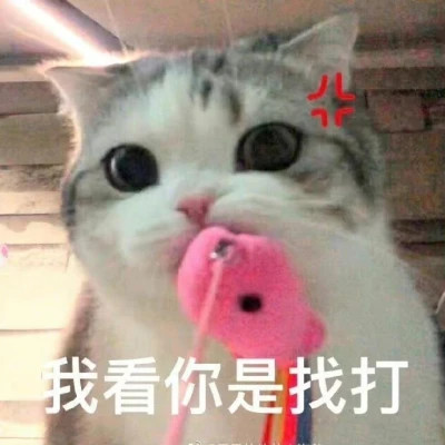 2024年最火表情包头像(图35)