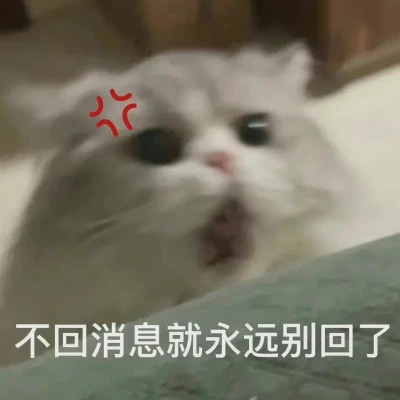 2024年最火爆的搞笑表情包头像(图49)