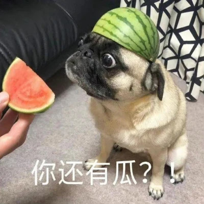 2024年最热门的可爱表情包头像(图81)