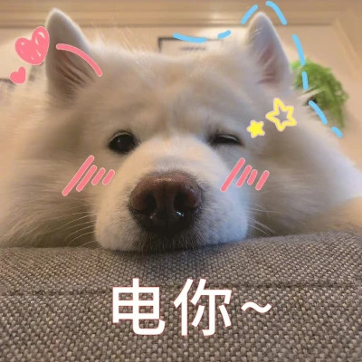 2024最火搞笑沙雕表情包头像(图51)