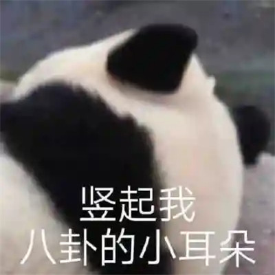 2024年最火表情包头像(图42)