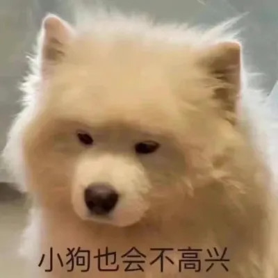 2024年最新表情包头像图片(图47)
