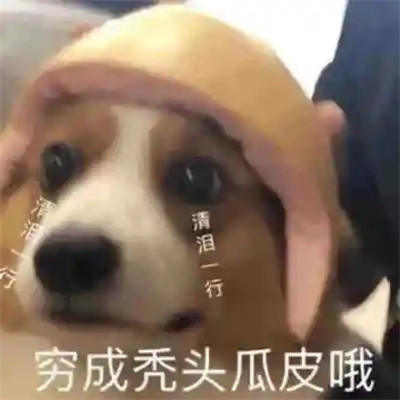 2024年最火爆的搞笑表情包头像(图64)