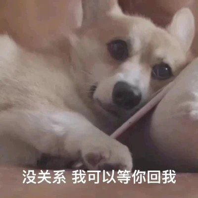 最新款2024表情包图片头像(图19)