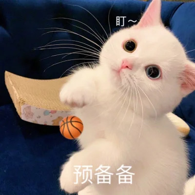 2024年最新表情包头像图片(图65)