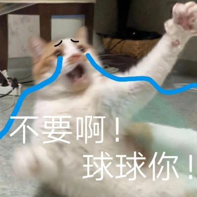 2024年最新表情包头像图片(图76)