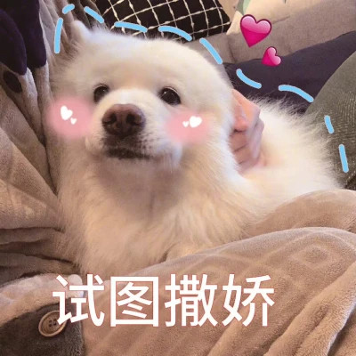 2024最火搞笑沙雕表情包头像(图52)