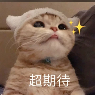 2024年最新表情包头像图片(图80)
