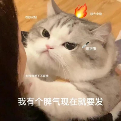 最新款2024表情包图片头像(图15)