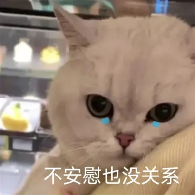 2024年最火表情包头像(图29)