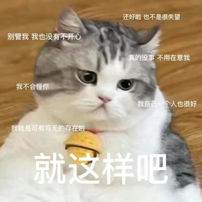 最新款2024表情包图片头像(图14)
