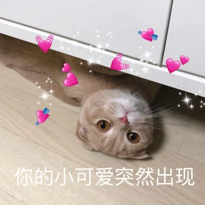 2024年最新表情包头像图片(图75)