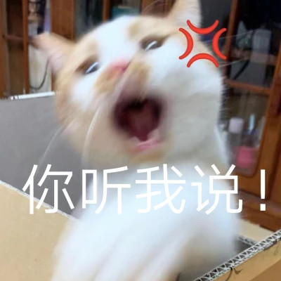 2024年最新表情包头像图片(图77)