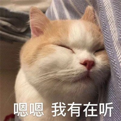 2024年最新表情包头像图片(图83)