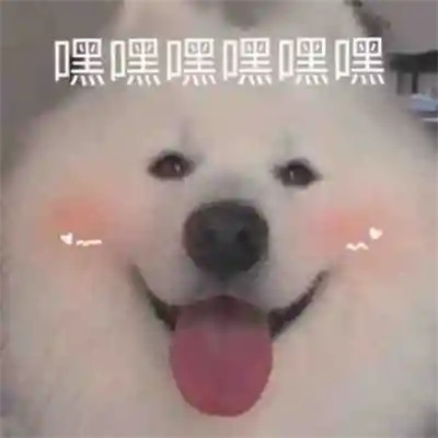 2024年最火表情包头像(图34)