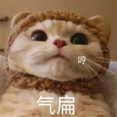 2024年最新表情包头像图片(图71)