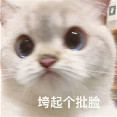 2024年最新表情包头像图片(图72)