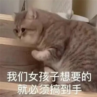 2024年最新表情包头像图片(图84)