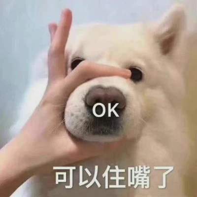2024年最火表情包头像(图61)