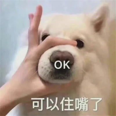 2024年最火爆的搞笑表情包头像(图66)