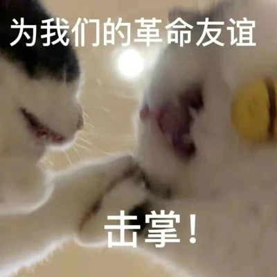 2024年最火表情包头像(图26)
