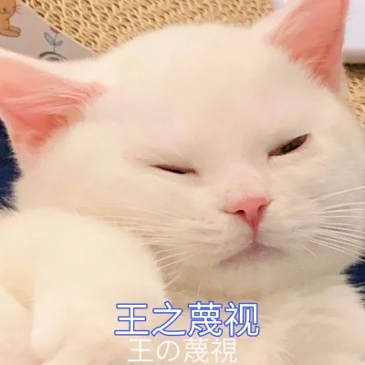 2024年最新表情包头像图片(图70)