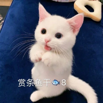 2024年最新表情包头像图片(图68)